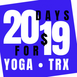 20 Days for $19