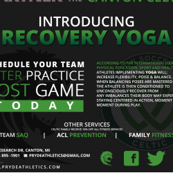 Team Recovery Yoga