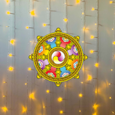 Six Months Unlimited Yoga