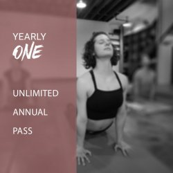 YEARLY One - Annual Pass - 2019