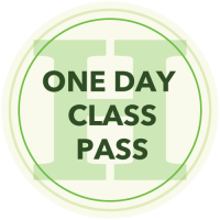Day CLASS PASS