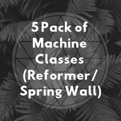 5 Pack of Machine Classes (Reformer/Spring Wall)