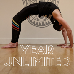 1 Year Unlimited