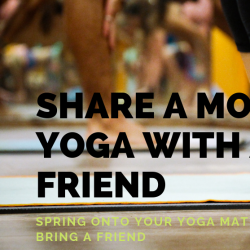 Spring onto your Mat with a Friend