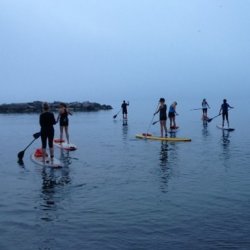 SUP Boarding - Social Paddle, 90min