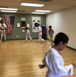 Beginner Trial Course