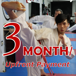 TKD Adults - 3 Month Membership