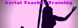 Aerial Teacher Training
