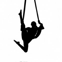 6 Months of All Access Yoga and Aerial