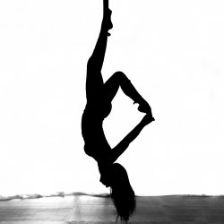 Aerial Silks 4 Pack for $100