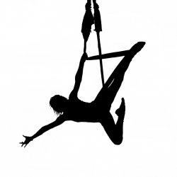 90 Days of All Access Aerial & Yoga $360