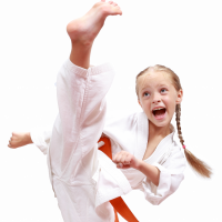 FREE SKILLZ Martial Arts Class