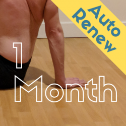 Auto Renew 1 Month Unlimited