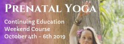 Prenatal Yoga Continuing Education Weekend Course