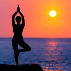 New Yogi Special - 4 classes w/any teacher