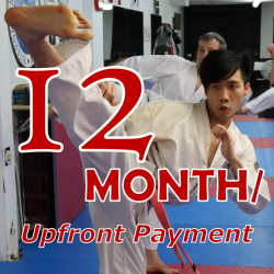 TKD Adults - 12 Month Membership