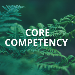 Core Competency Training: Supporter