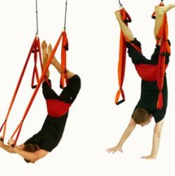 Mat Yoga and Trapeze Unlimited