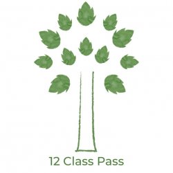 12 Class Pass
