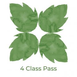 Four (4) Class Pass
