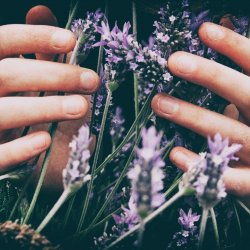 5-Pack of Appointments with Michaela Torcaso