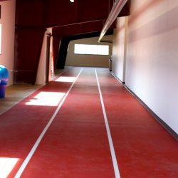 Track Pass/Single Day