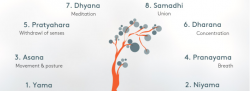 Walking the Eight Limb Path of Yoga