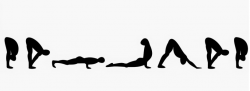 Sun Salutations & Transitions