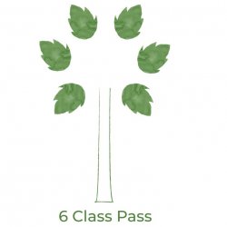 Six (6) Class Pass