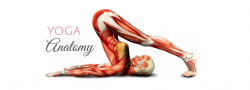The Physical Body