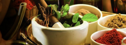 Intro to Ayurveda