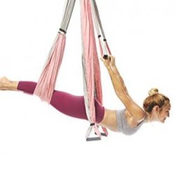 20 Trapeze Class Pass