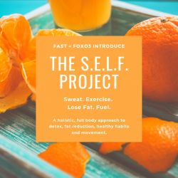 The S.E.L.F. Project