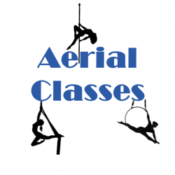 Single Aerial Pole/Hoop/Silks Class or Workshop!