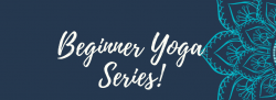 Beginner Yoga Series - Single Session