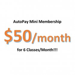 Autopay Mini Membership - Charge on 15th
