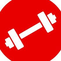 12 Week Training Program