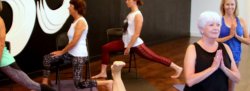 Yoga Modifications