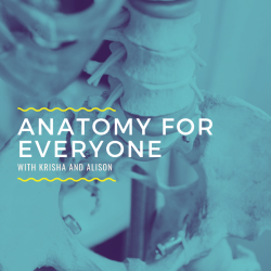 Anatomy for Everyone