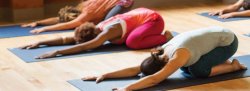 Beginner's Yoga Series (Rainbow Body Wellness Collective)