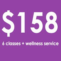 6X MONTHLY + wellness service