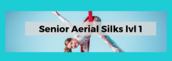 Teen Aerial Silks: INTRO/ level 1