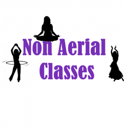 Single Non Aerial Class