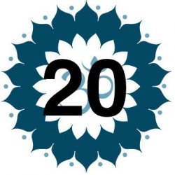 20-Class Pass