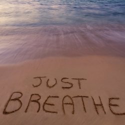Halo Breathwork Immersive