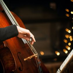 Live Cello + Yin
