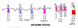 50hr Meridian Yoga Therapy Teacher Training