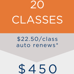 20 Classes - Auto Renew