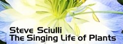 Steve Sciulli - The Singing Life of Plants