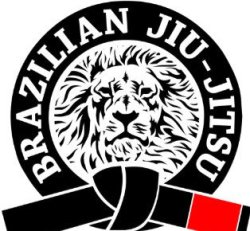 Jiu Jitsu Seminar